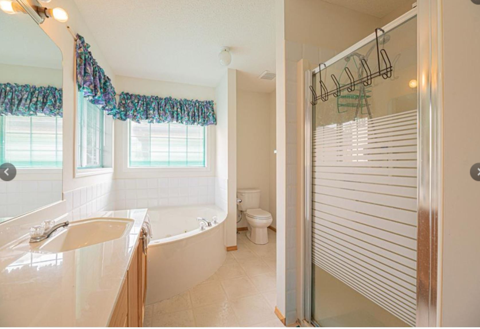 Master Bathroom Renovation - Before
